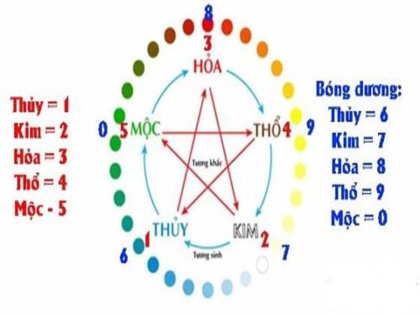 Kép lệch là gì?